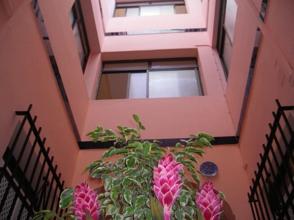 Hotel Sanvi Xerez Centro Jerez de la Frontera Exteriér fotografie